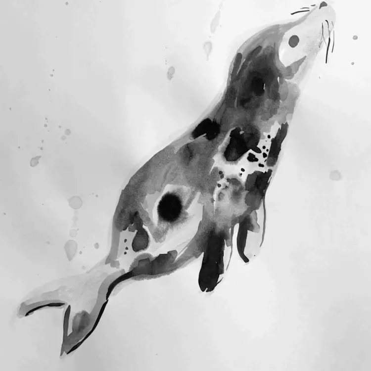 Swimming seal illustration drawn in ink 